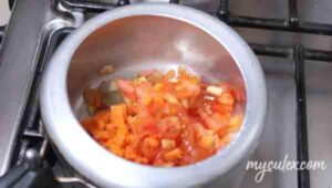 2. Add chopped onion, carrot and tomato.