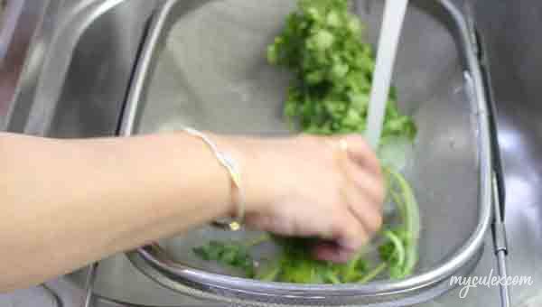 Rinse the clean coriander leaves well.