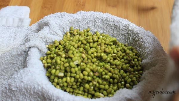 Moong after soaking in water.