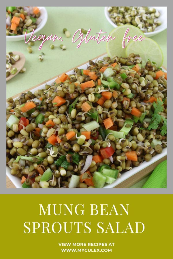 Mung Bean Sprouts Salad • My Culinary Expressions