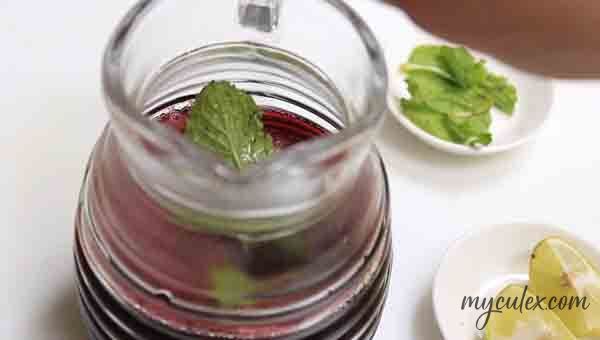 7. Add mint leaves to Karkade concentrate. CHILL