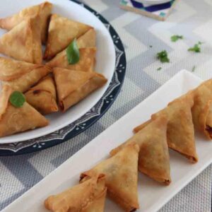 mini samosa feature1